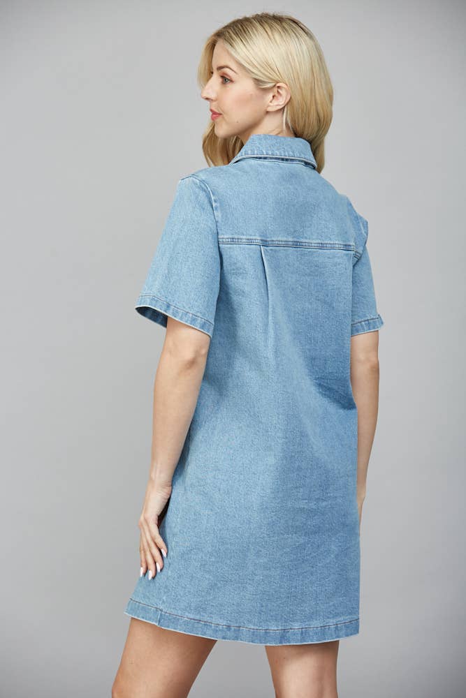 Marianne A-Line Denim Dress