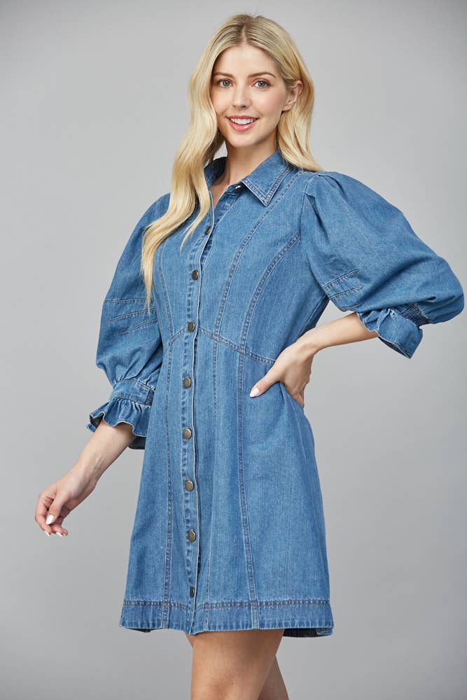 Montana Denim Dress