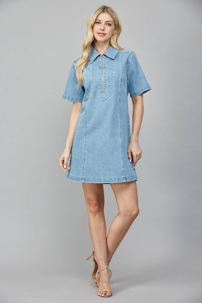 Marianne A-Line Denim Dress