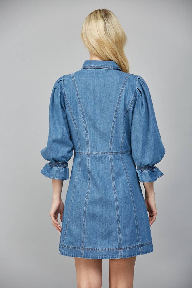Montana Denim Dress