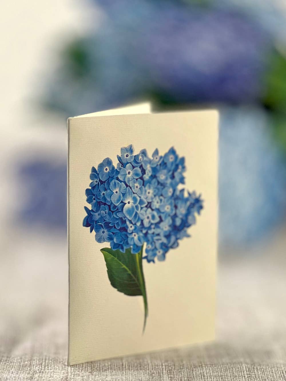 Nantucket Hydrangeas Fresh Cut Paper Greeting Cards