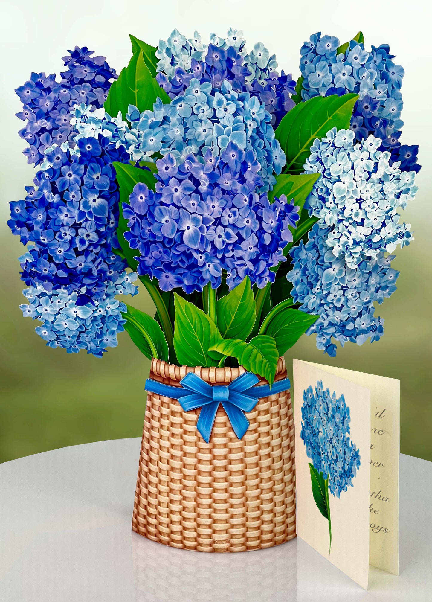 Nantucket Hydrangeas Fresh Cut Paper Greeting Cards