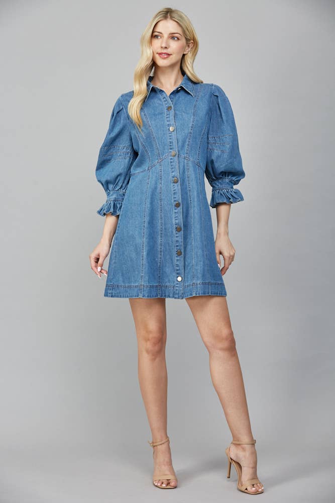 Montana Denim Dress