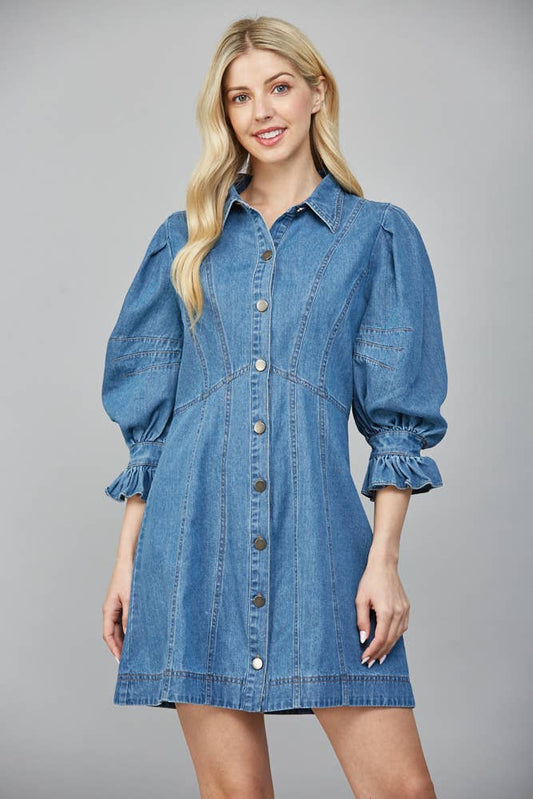 Montana Denim Dress